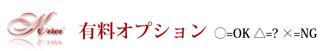 有料オプション
